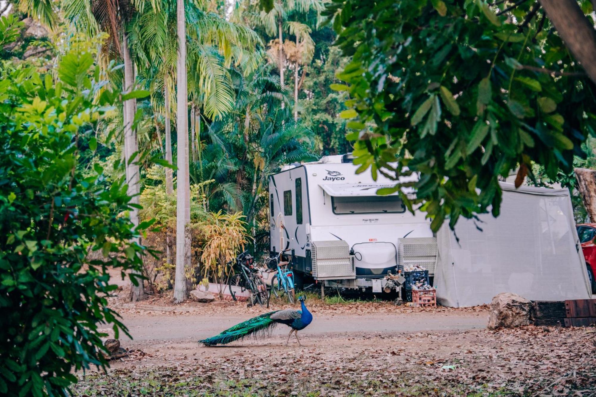 Big4 Howard Springs Holiday Park Darwin Eksteriør bilde